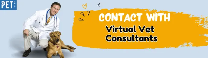 Virtual Vet 
Consultants